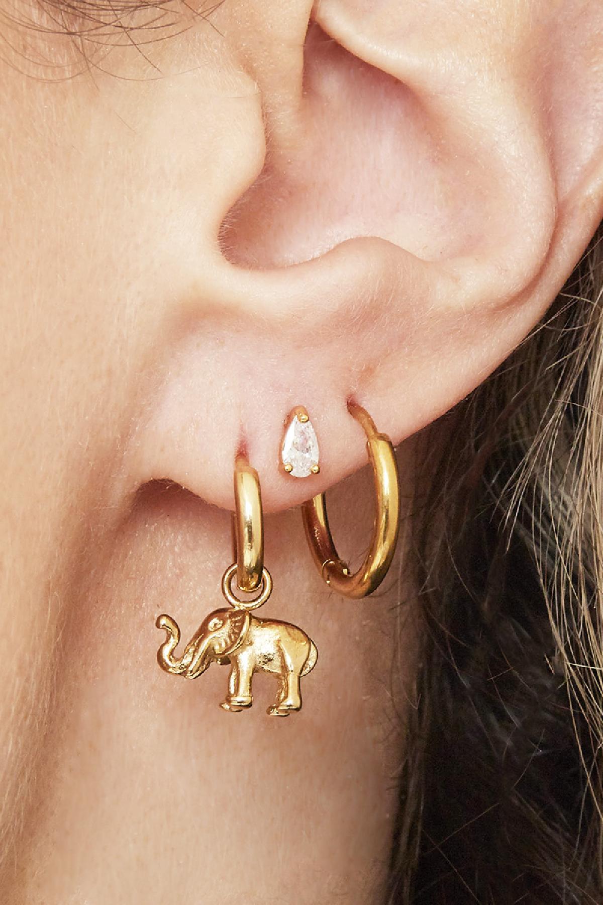 Earrings Little Hoops 1,6cm Gold Stainless Steel h5 Picture2